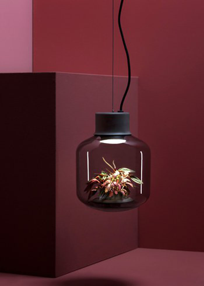 indoor lighting that holds plants