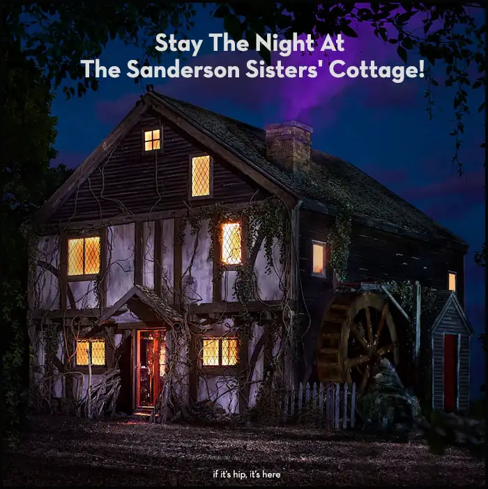 Read more about the article Stay The Night At The Sanderson Sisters’ Cottage In Salem, Massachusetts