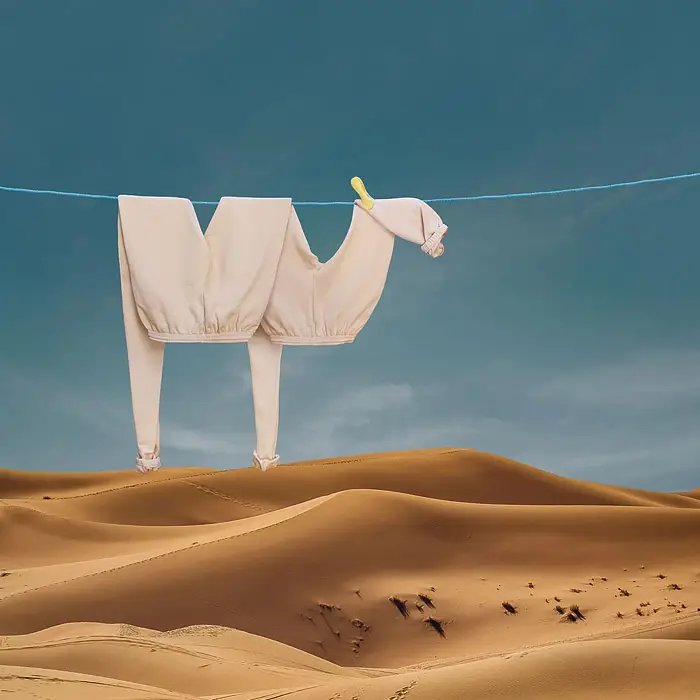 Camella by Helga Stentzel