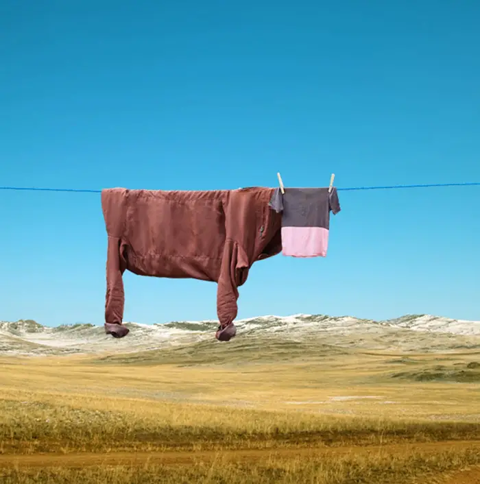 cow made of textiles on clothesline