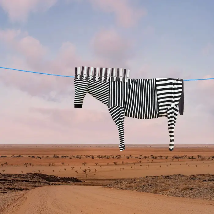 animal clothesline art