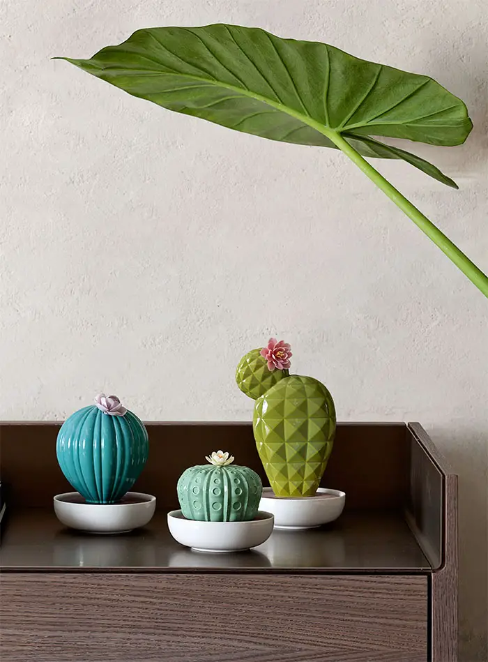 Lladro cactus infusers collection