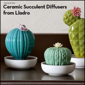The Lladro Ceramic Succulent Diffusers Are Stunning