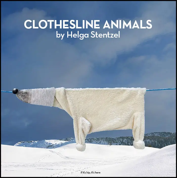 Read more about the article Helga Stentzel Clothesline Animals (and they’re available as Art Prints!)