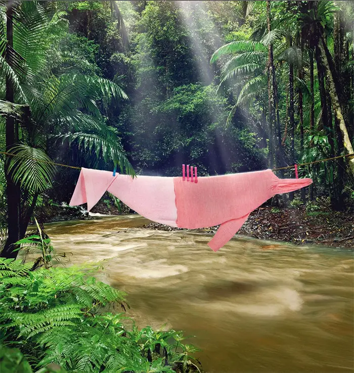 endangered pink dolphin made of clothes on clothesline