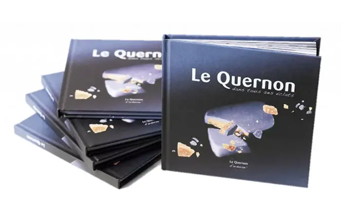history of the quernon book