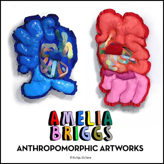 Amelia Briggs Anthropomorphic artworks