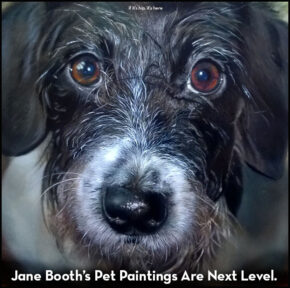 Jane Booth Pet Paintings Are Next Level