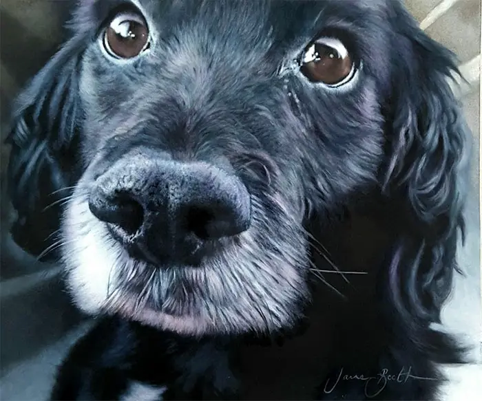 oil paintings of dogs