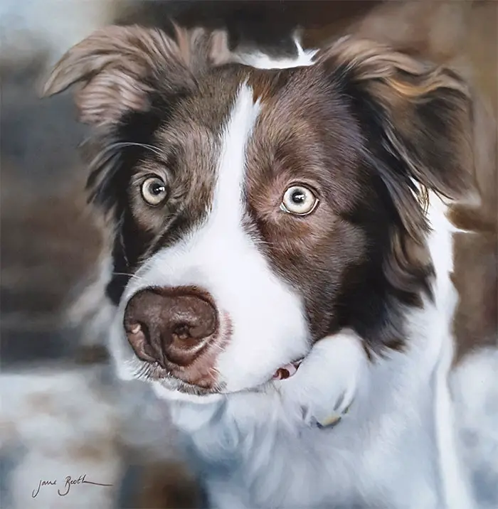 jane booth pet paintings