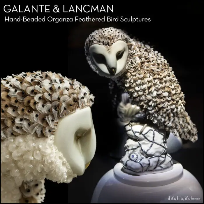 Read more about the article Intricate Organza Feathered Bird Sculptures by Galante and Lancman