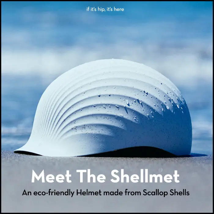 Read more about the article The Shellmet : Discarded Scallop Shells Get New Life as Eco-Friendly Helmets