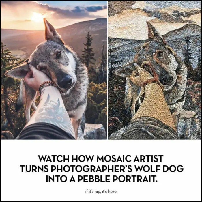 Read more about the article Photographer’s Beloved Wolf Dog Is Immortalized In a Pebble Mosaic. See How It Was Done.