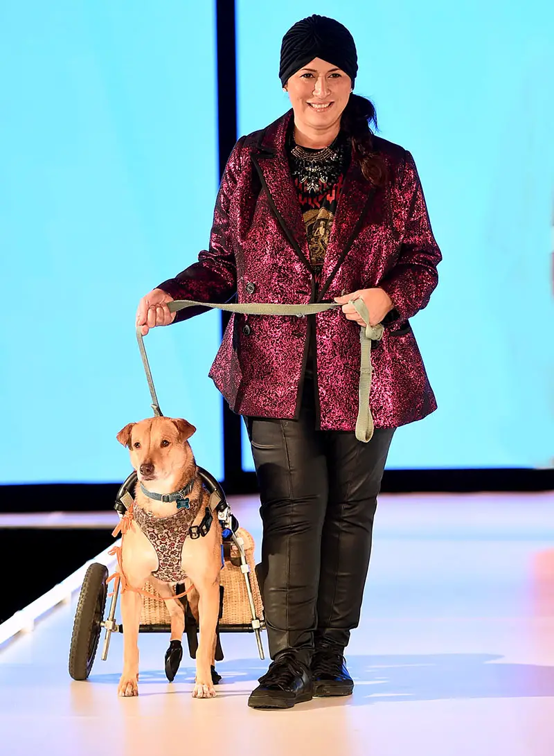  Elysian Impact Presents "CatWalk FurBaby" 