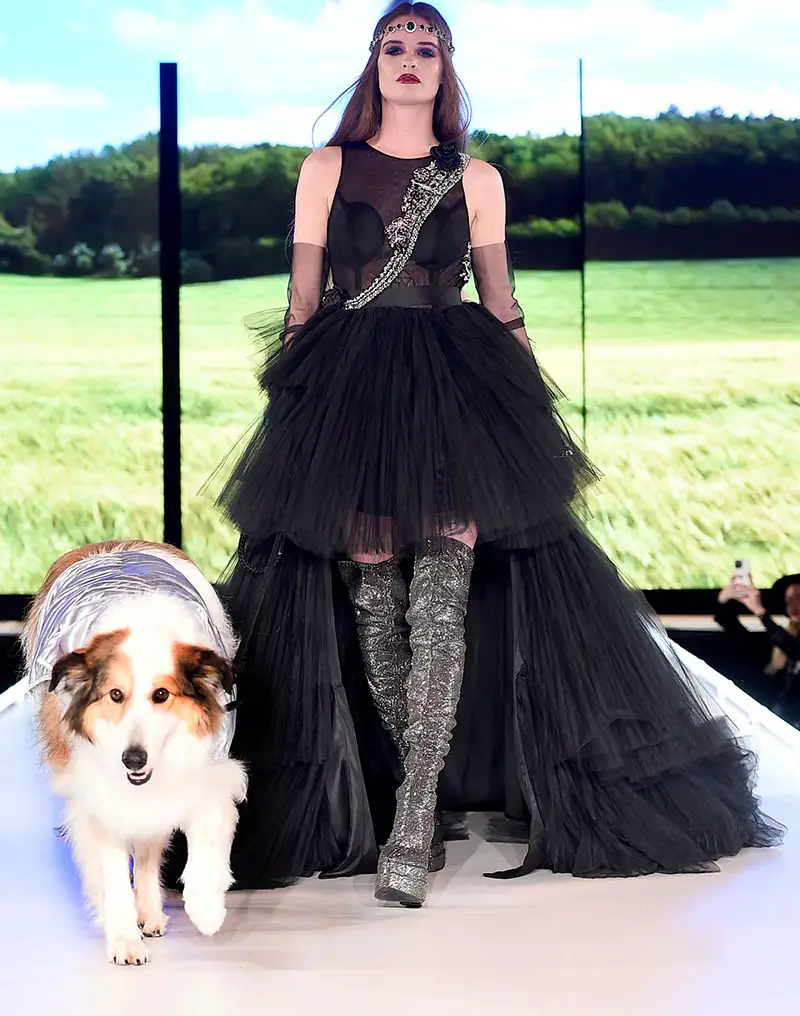 NEW YORK, NEW YORK - FEBRUARY 10: A model walks the runway for Elysian Impact Presents "CatWalk FurBaby" during the Runway 7 Fall/Winter 2023 Shows at Sony Hall on February 10, 2023 in New York City. (Photo by Ilya S. Savenok/Getty Images for Runway 7)