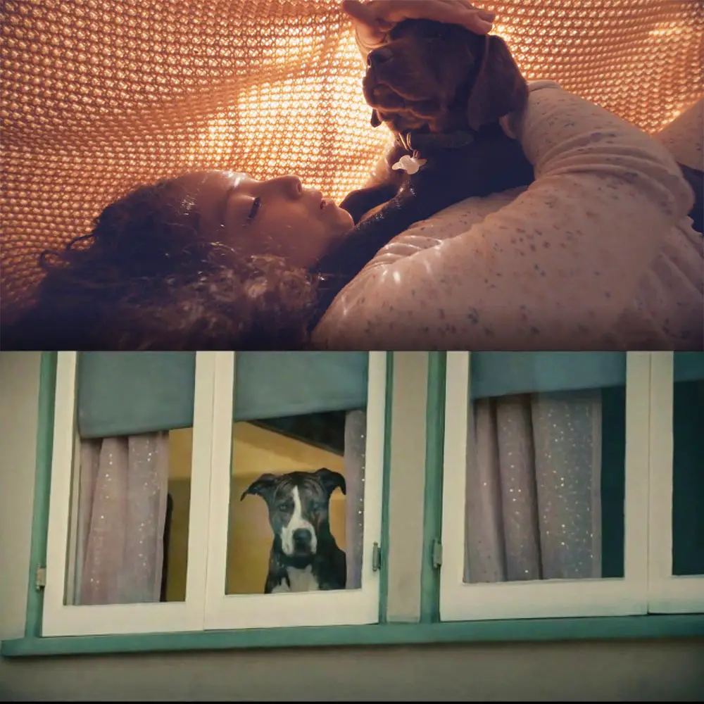 Two of the most popular ads on Super Bowl 57 with dogs