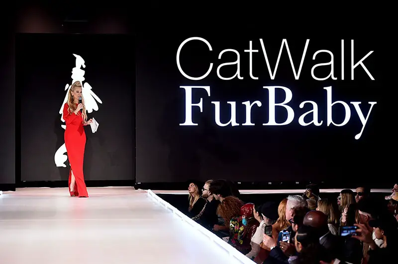 catwalk furbaby fashion show