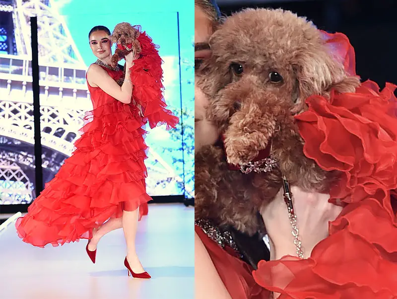 model with dog on catwalk 
