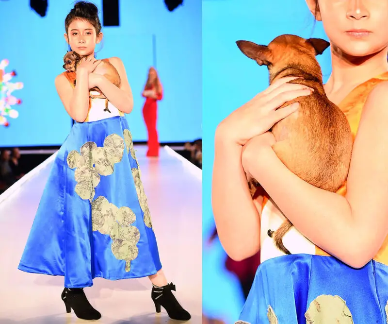 runway show for bissell pet foundation