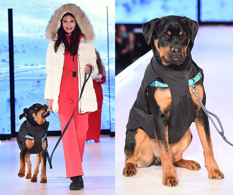  A model walks the runway for Elysian Impact Presents "CatWalk FurBaby" during the Runway 7 Fall/Winter 2023 Shows at Sony Hall on February 10, 2023 in New York City. 