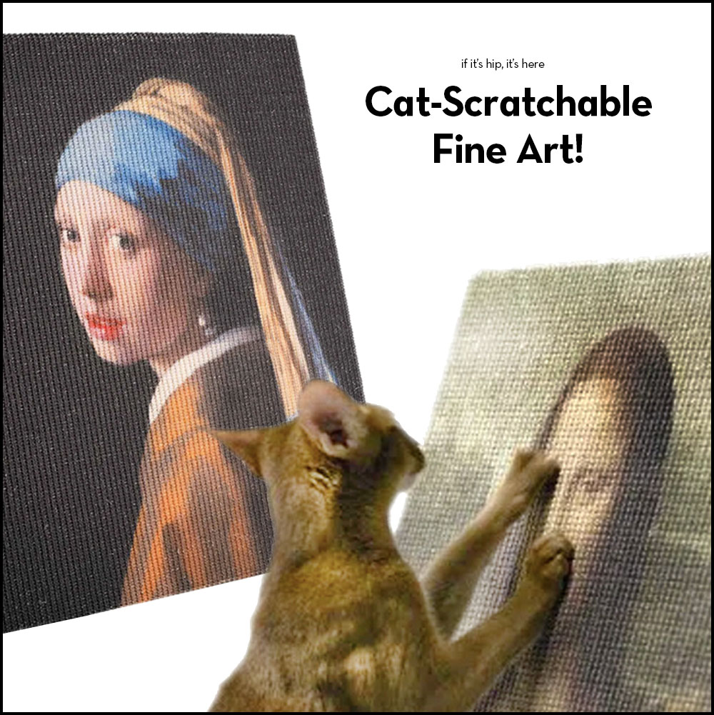 cat-scratchable fine art