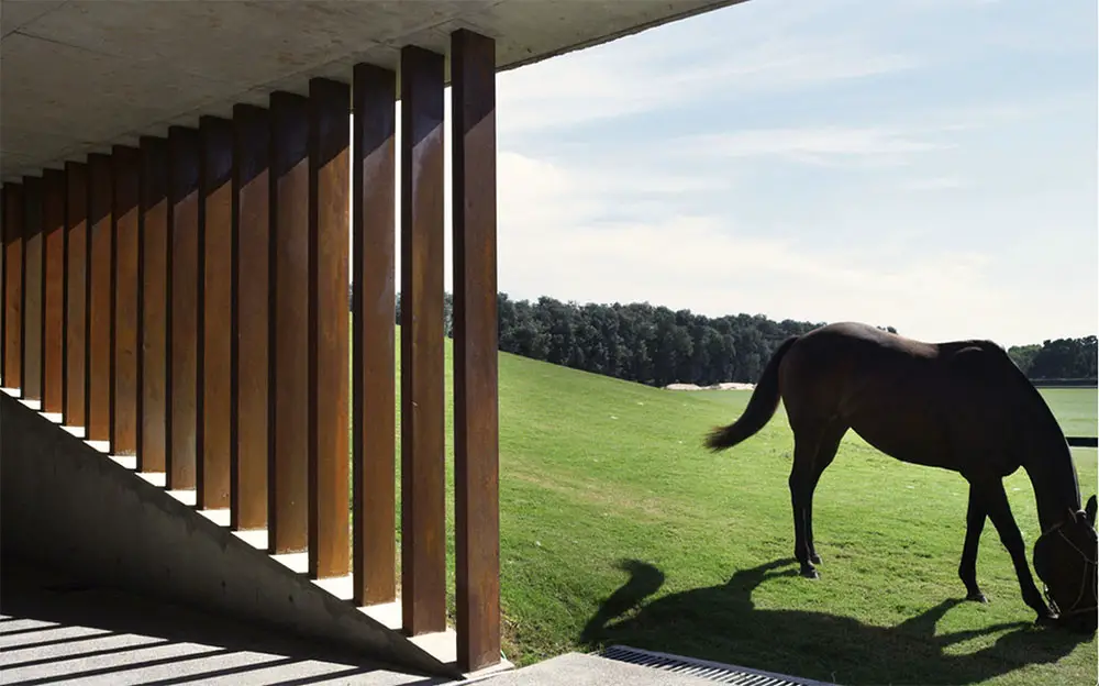 architecture for horses