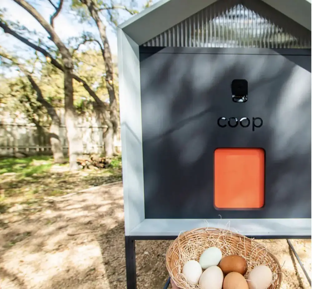 modern chicken coop