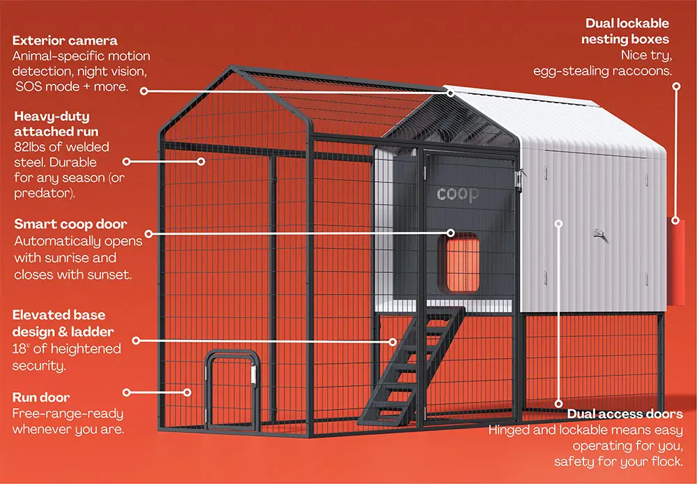 chicken coop design