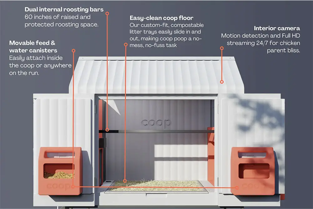 smart backyard chicken coop