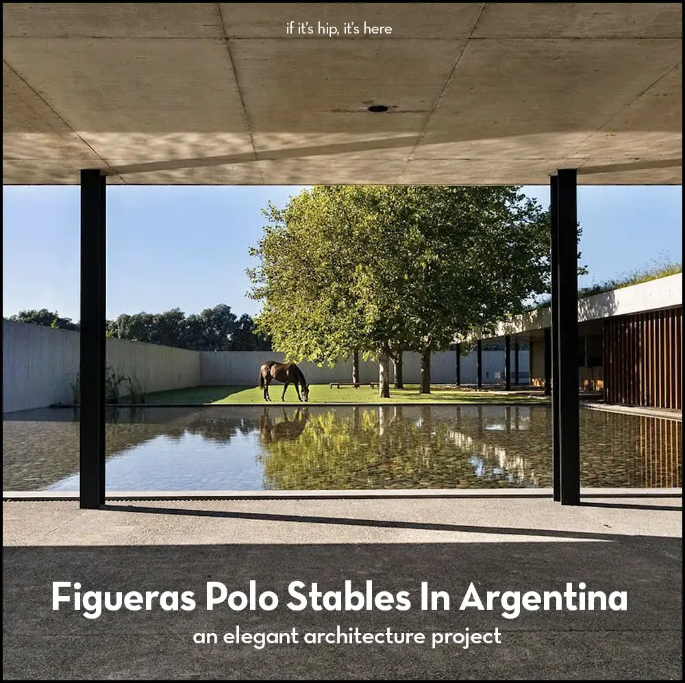 Figueras Polo Stables in Argentina