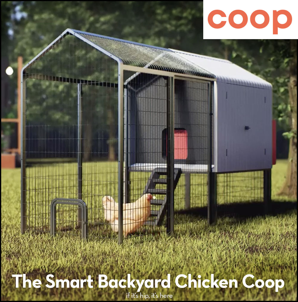 modern automated chicken coop