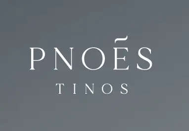 pnoes tinos villas