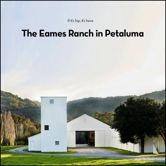 Read more about the article The Eames Ranch in Petaluma is a Museum/Home/Workshop/Farm.