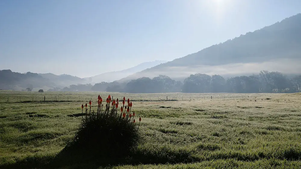 view from Eames Ranch, Petaluma