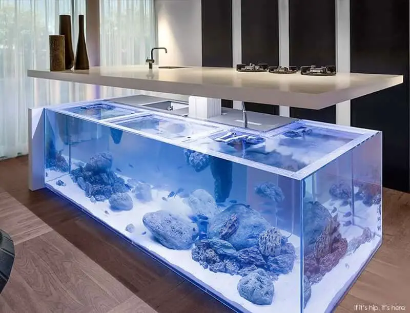 ocean kitchen island aquarium