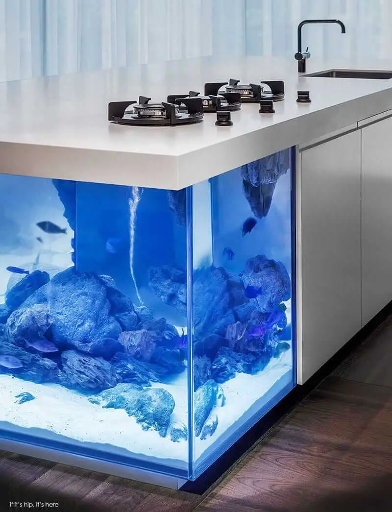 kitchen island aquarium