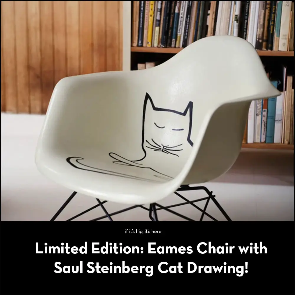 eames chair with steinberg cat