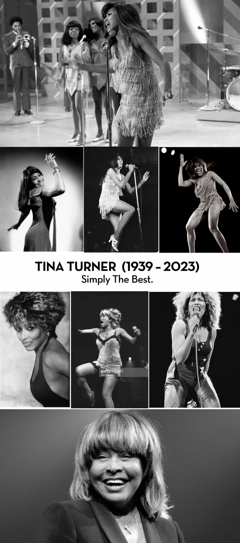 tina turner tribute