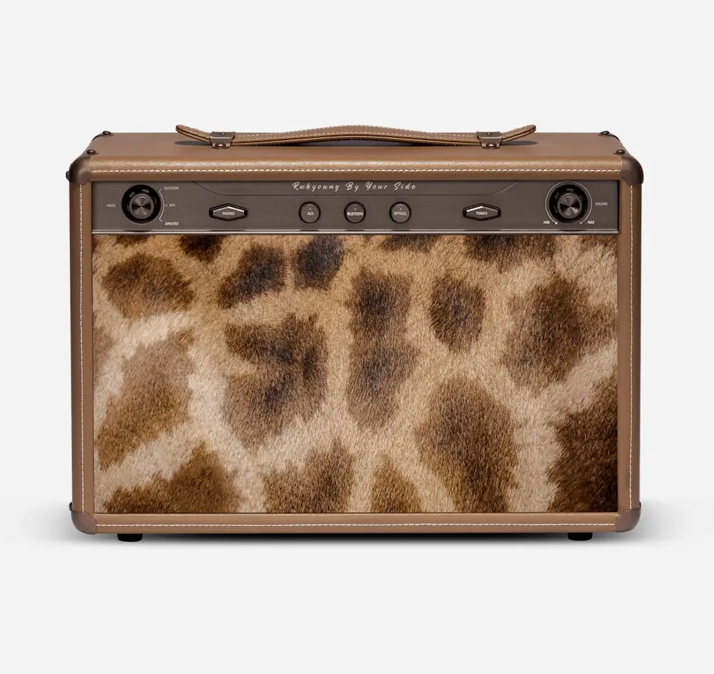 The R630 bluetooth speaker in dolce brown with giraffe cover