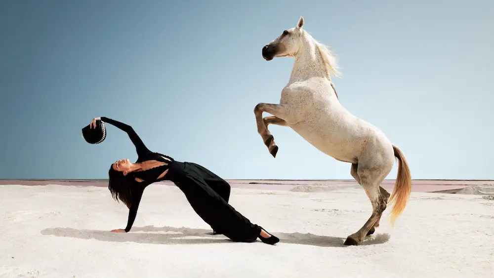 Kendall Jenner and horse, shot by Harley Weir, for Stella McCartney