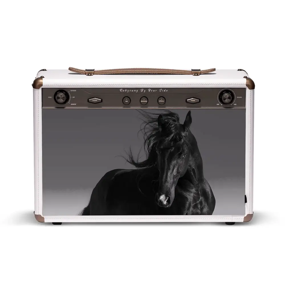 horse photo speaker cover on white