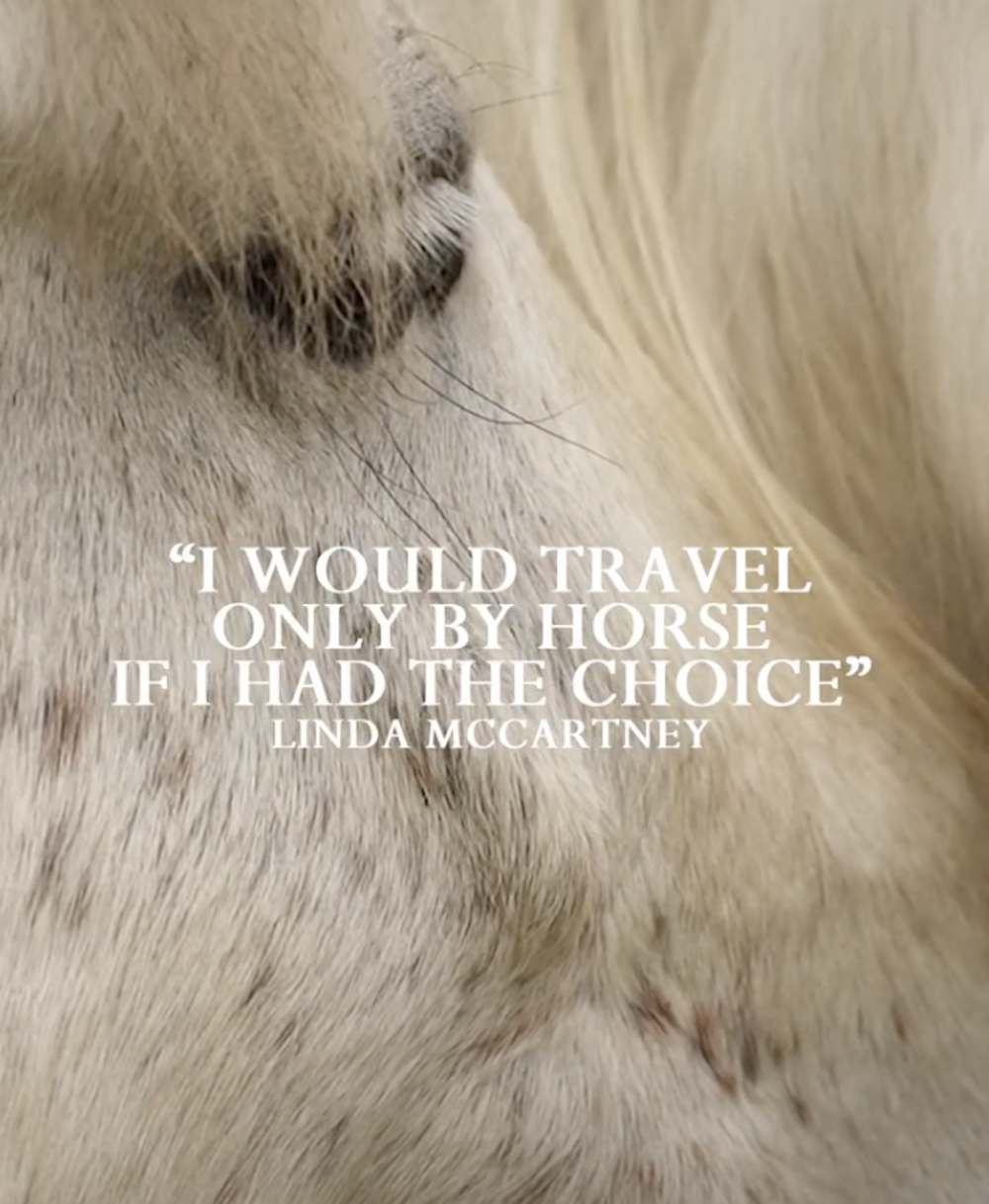 linda mc cartney horse quote