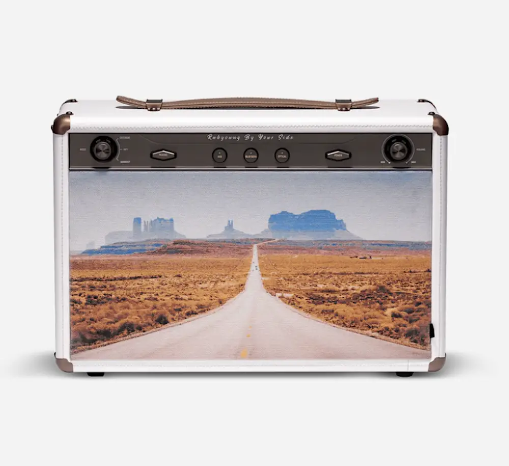 white leather speaker cover photo monument valley