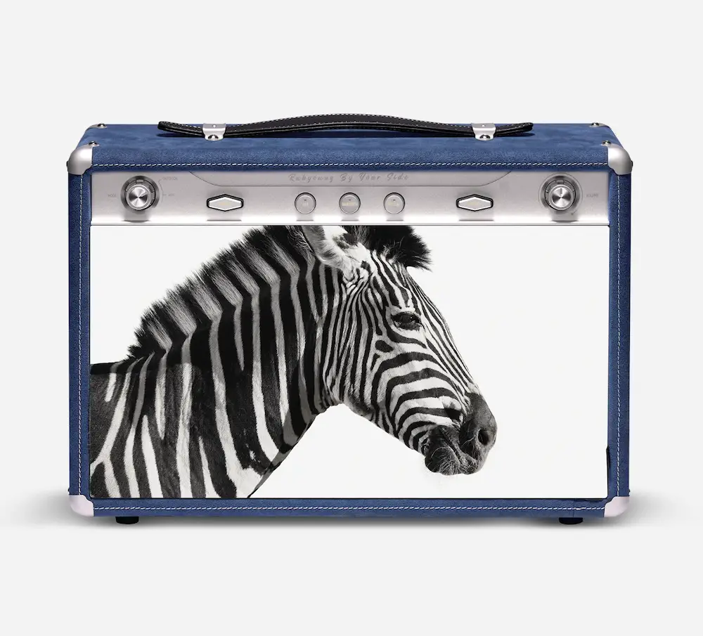 zebra photo cover speaker.