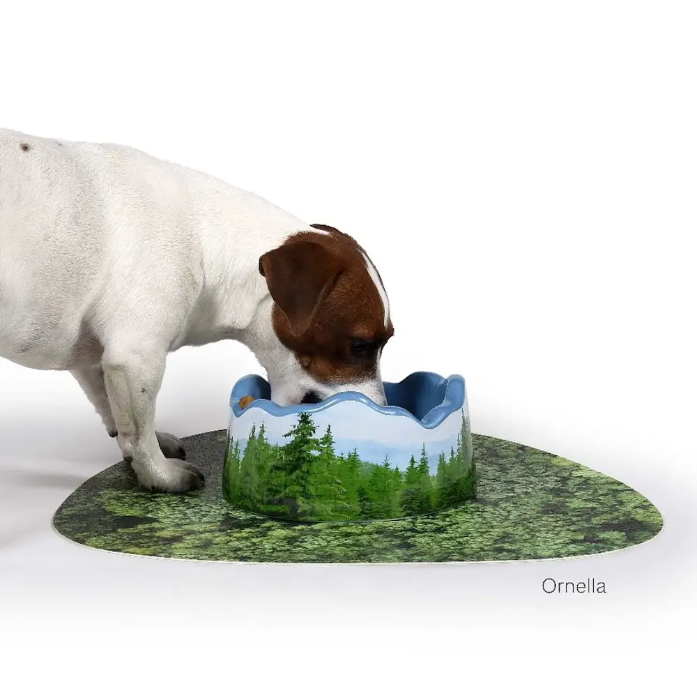 jack russell dog bowl and mat