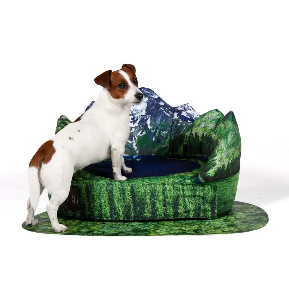 seletti x united pets (R)Evolution collection