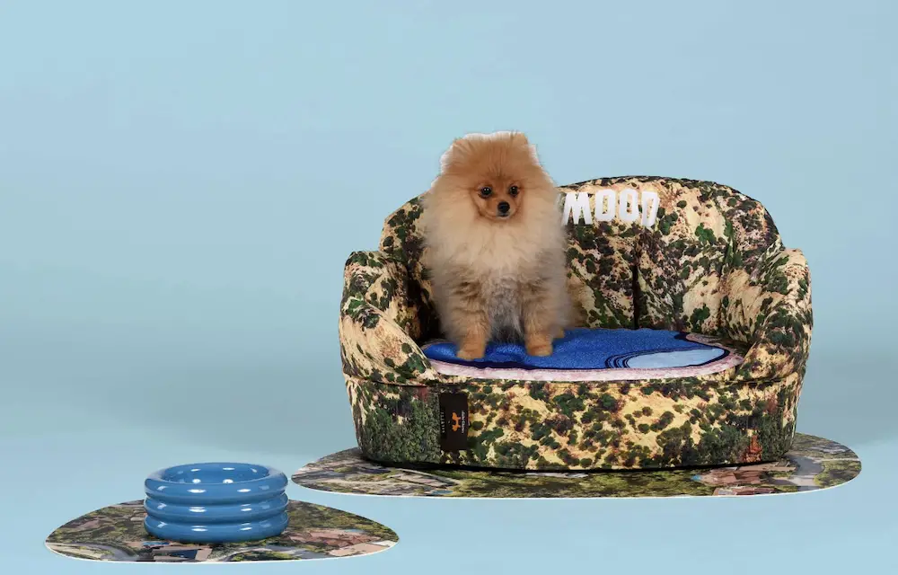 pet beds and bowls by Seletti and United Pets
