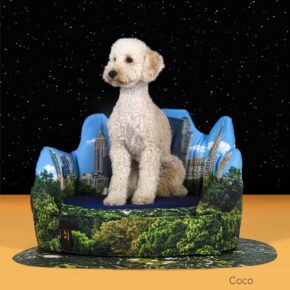 Cool Dog Beds and Bowls Feature Four Famous Locales