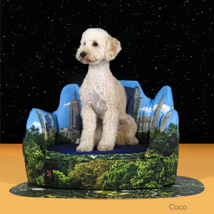 Read more about the article Cool Dog Beds and Bowls Feature Four Famous Locales