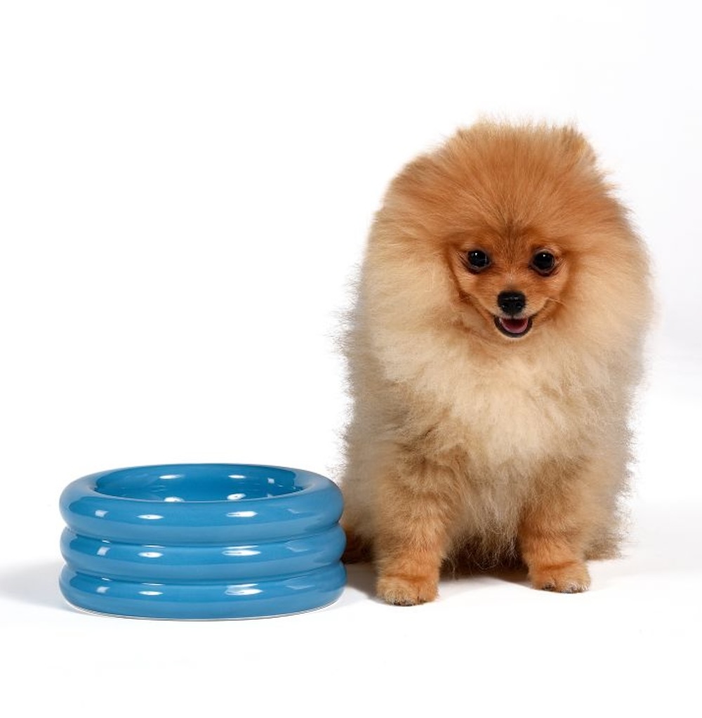 united pet seletti pool bowl